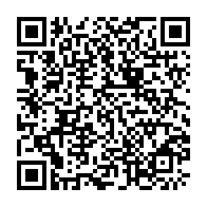 �\������Google�t�H�[��